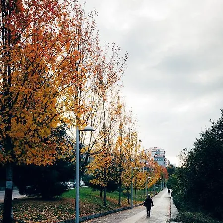 Paseo Del Barbana Ourense